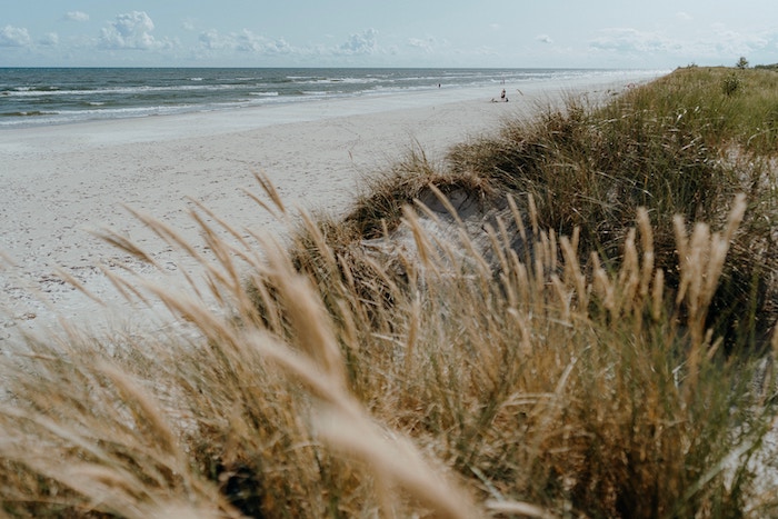 Surf Beaches in Scandinavia